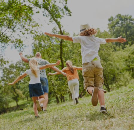 <strong>LOCAL FAMILY ATTRACTIONS</strong>