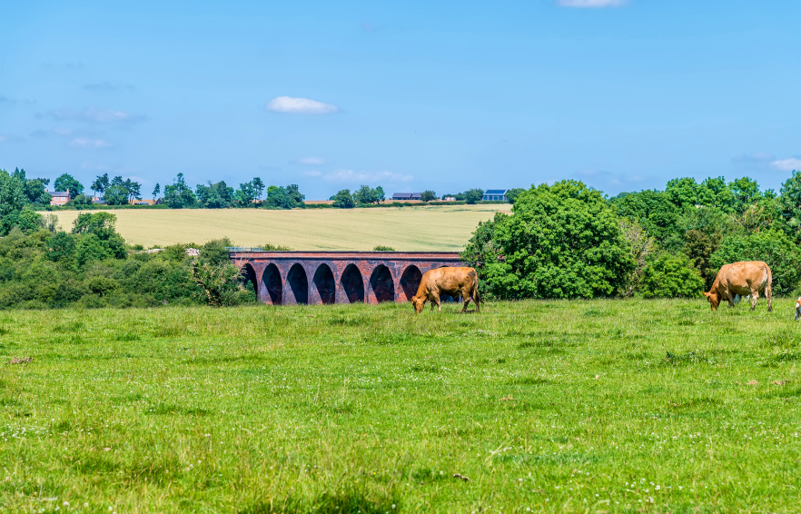 Carousel Desktop Walks