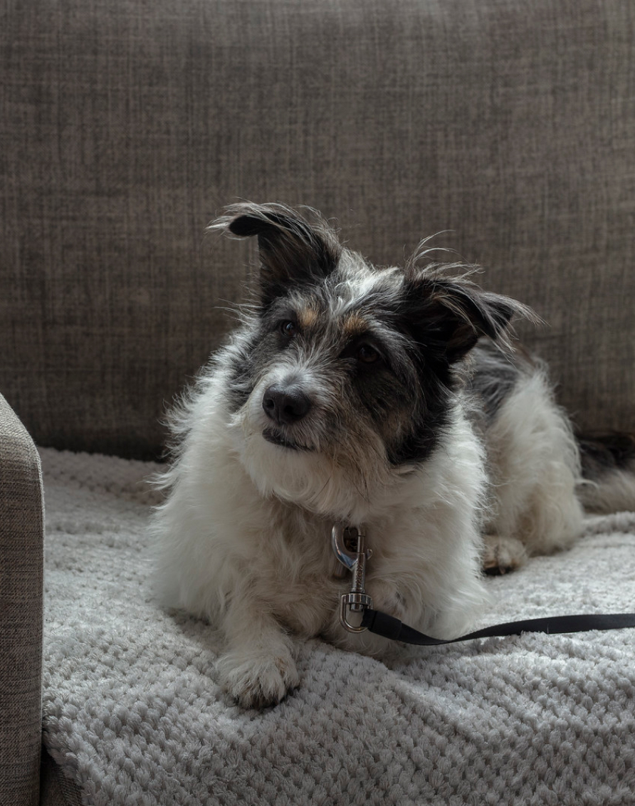 Crosssell Desktop Primary CTA 1 (Policy)