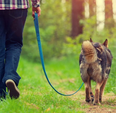 <strong><span class="NormalTextRun SCXW82893517 BCX8">TWYFORD WOODS CIRCULAR</span> </strong>