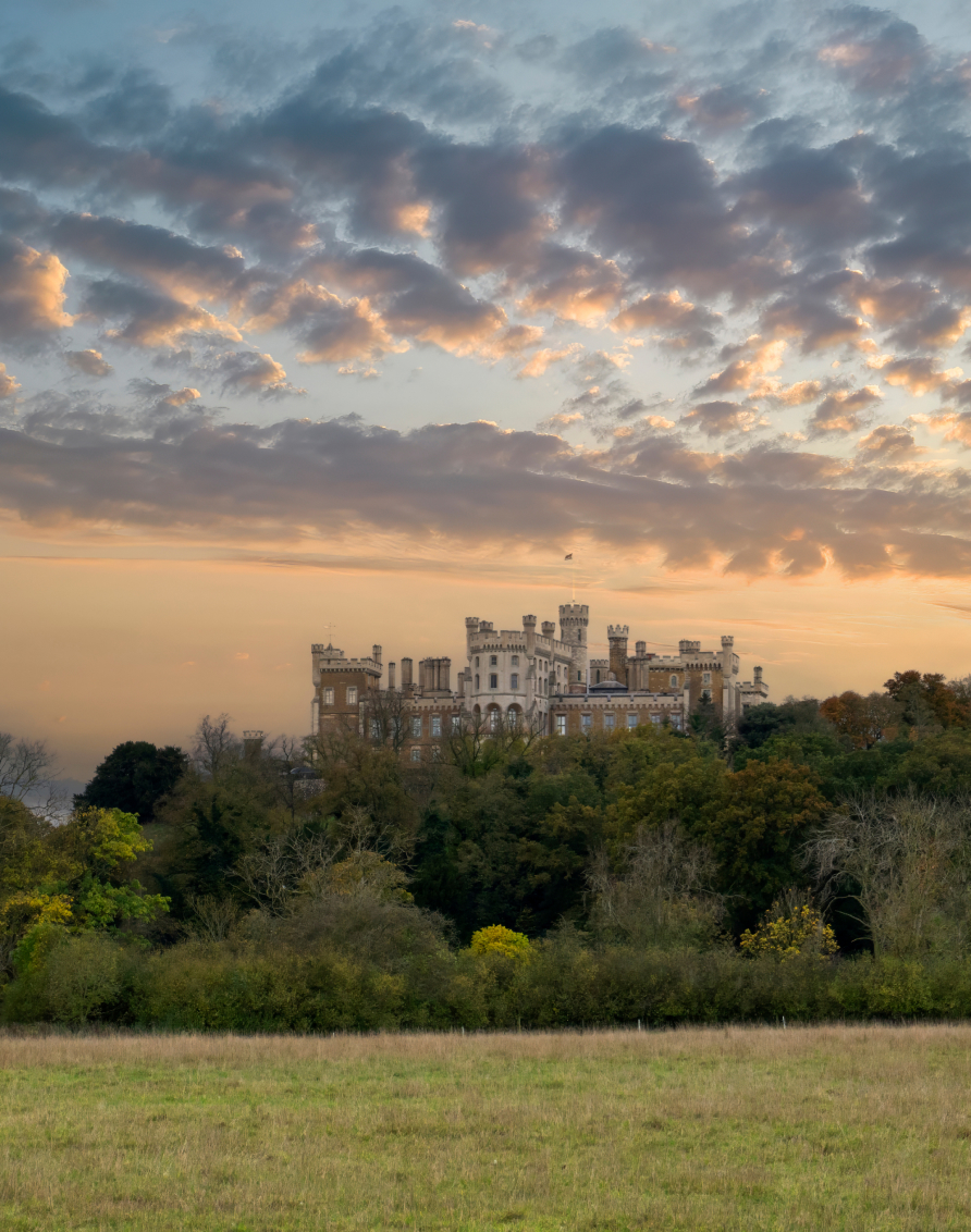 Crosssell Desktop Primary CTA TTD