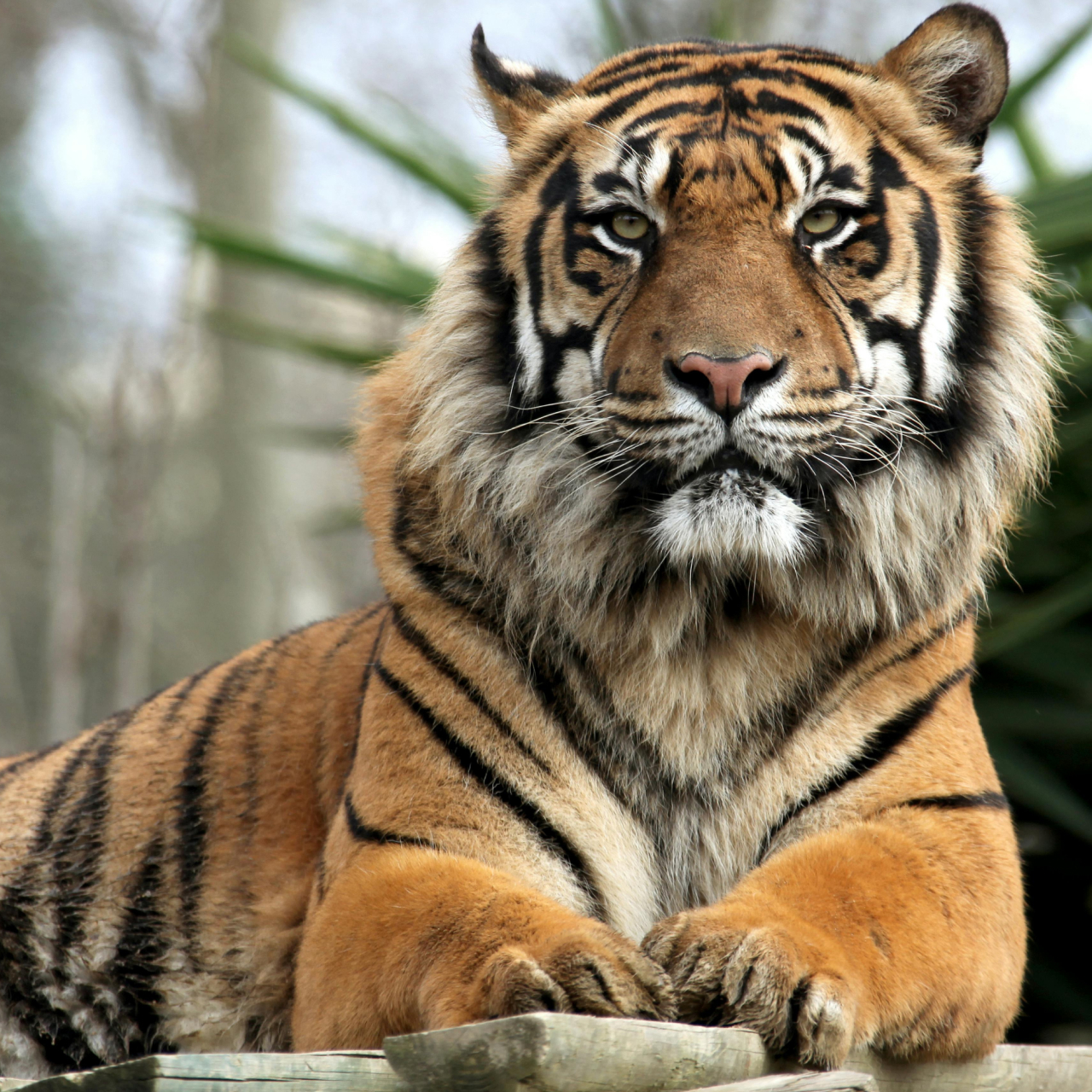 Wolds Wildlife Park 5050