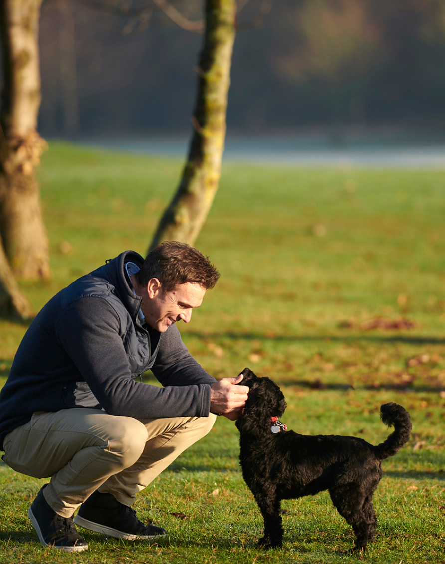 Crosssell Desktop Primary CTA 2 (Walks)