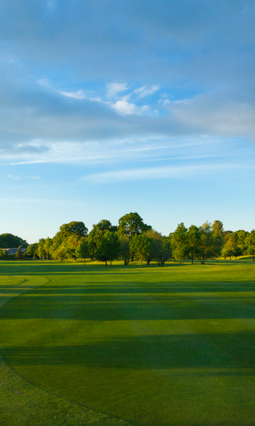 CORPORATE GOLF DAYS
