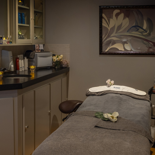 <p>Spa Treatment Room</p>