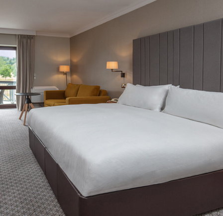 FEATURE KING ROOM