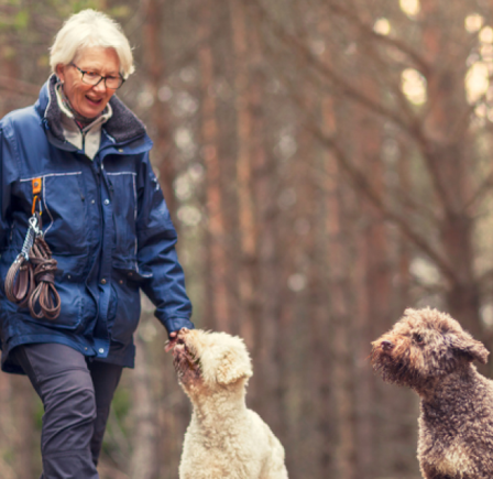 <strong><span class="NormalTextRun SCXW248362188 BCX8">STATHERN & BARKESTONE WOODS</span></strong>